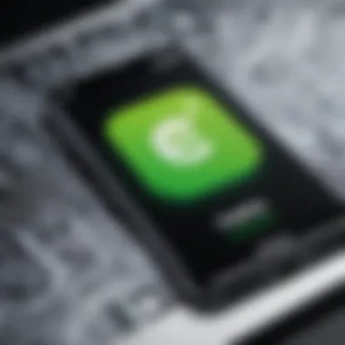 Considerations for Users Illustration of potential concerns regarding Cash App usage