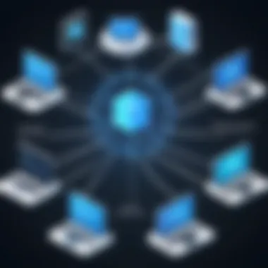 Diagram illustrating the types of network protection software