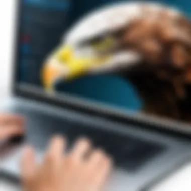 Detailed overview of Epicor Eagle software interface