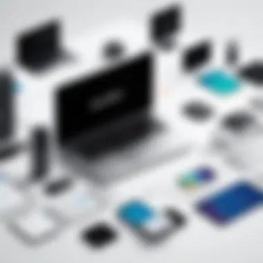 Types of Accessibility Tools Infographic illustrating various types of accessibility tools available.